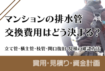 マンションの排水管交換費用はどう決まる?立て管・横主管・枝管・開口復旧・見積の確認方法